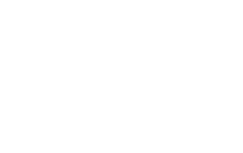 Speed Auto